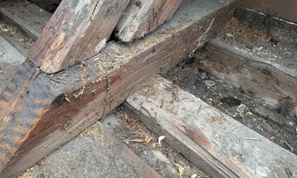 Schadhafte Dachkonstruktion