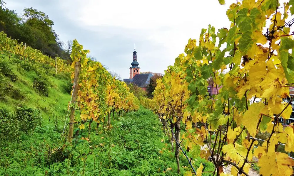 Kirche Bad Kreuznach (Rheinland-Pfalz)