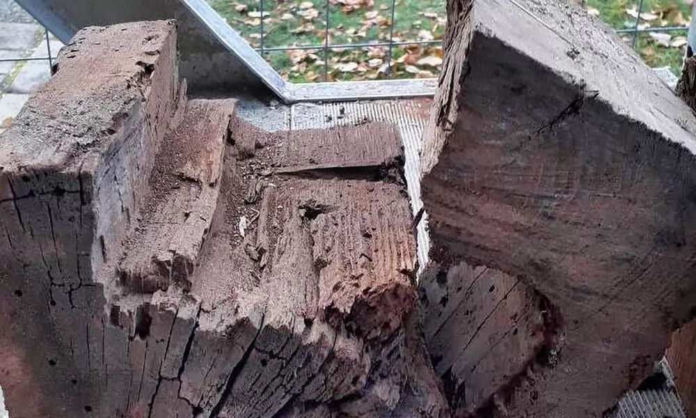 Holzzerstörende Pilze und Insekten hatten massive Schäden verursacht
