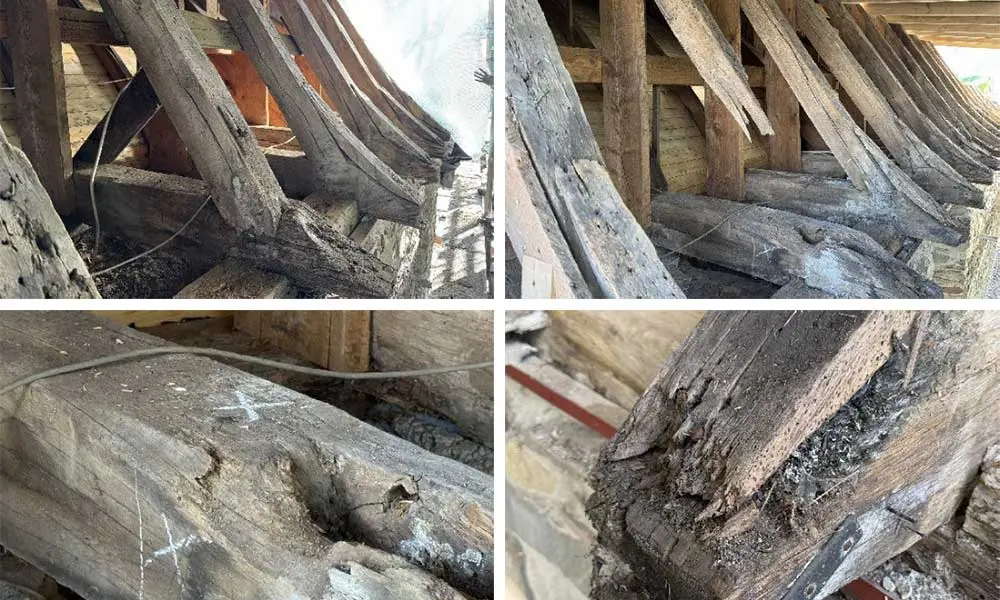 Verschiedene Schadensbilder: holzzerst&ouml;rende Pilze haben ganze Arbeit geleistet