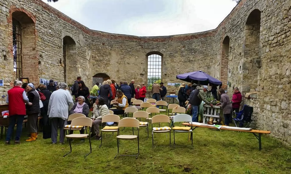 Kirche ohne Dach: Pflanzenflohmarkt 2021 in Wedderstedt (Sachsen-Anhalt)