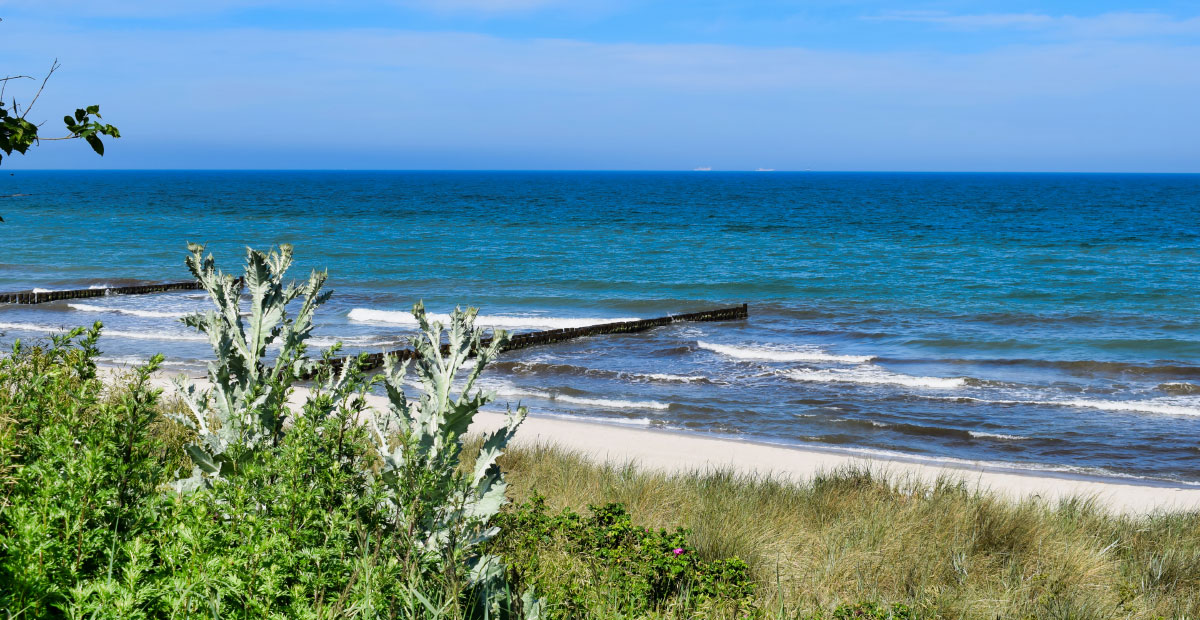 Blick auf die Ostsee bei Ahrenshoop