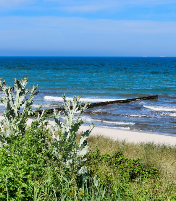 Blick auf die Ostsee bei Ahrenshoop