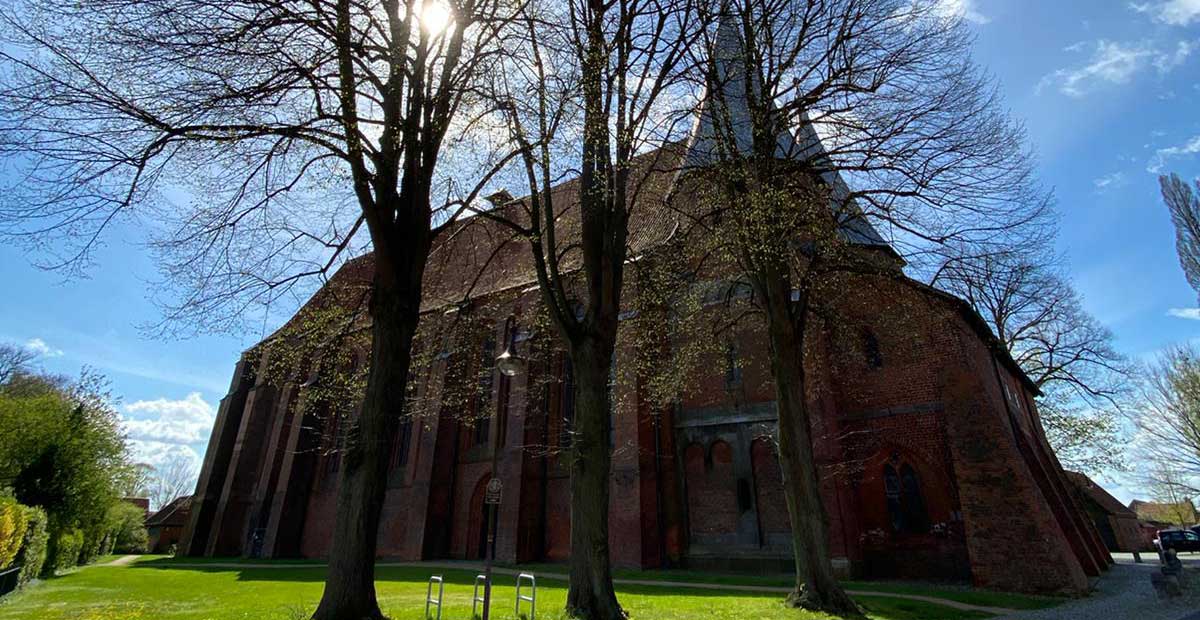 Bardowicker Dom im Frühjahr