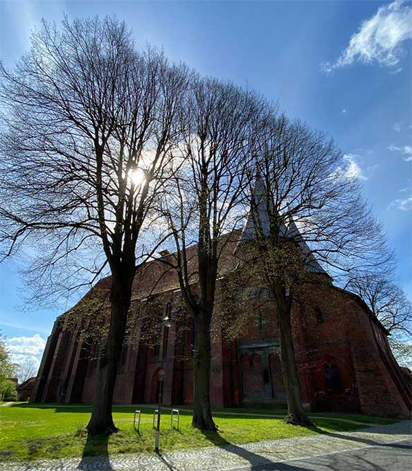 Bardowicker Dom im Frühjahr