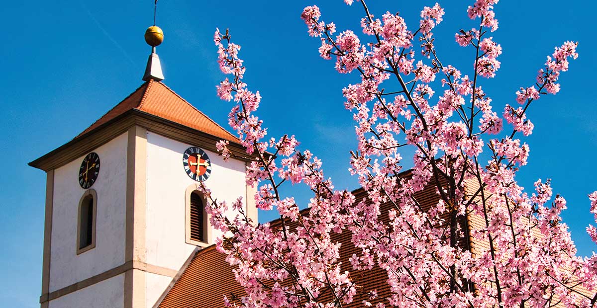 Dreieinigkeitskirche zu Streitberg (Bayern)