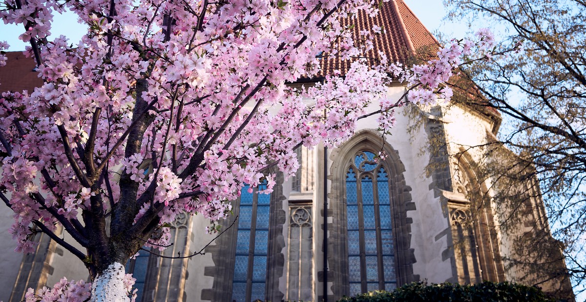 Katharinenkirche Ludwigsburg-Eglosheim (Baden-Württemberg)