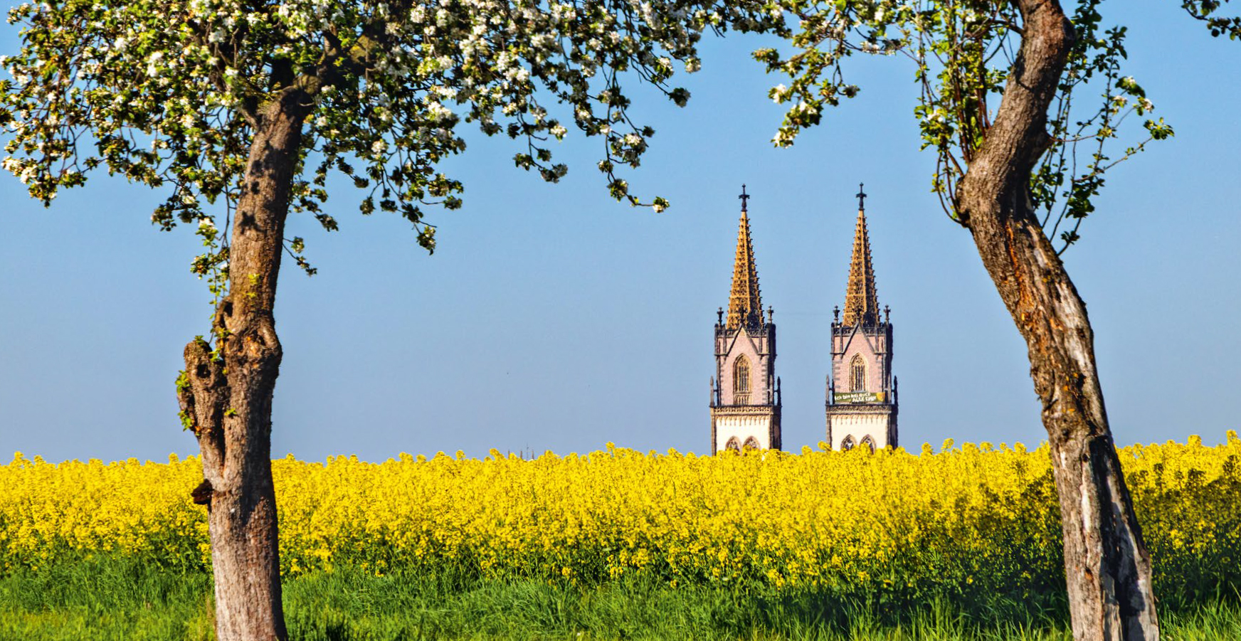 St. Aegidien Oschatz (Sachsen)