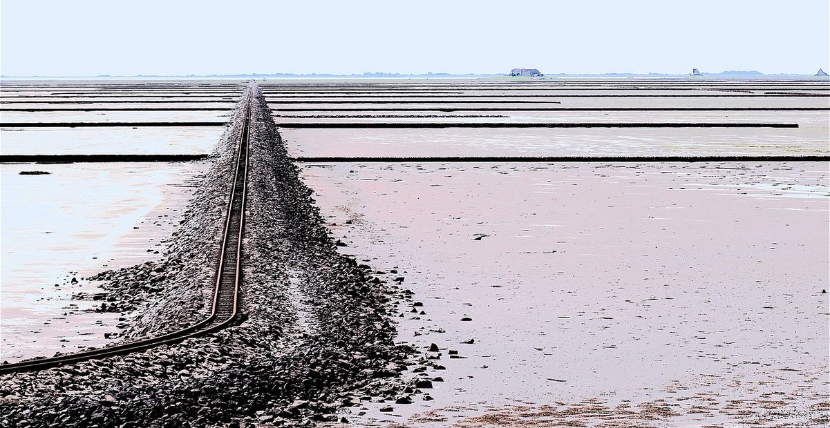 Lorendamm zur Hallig Hallig Nordstrandischmoor